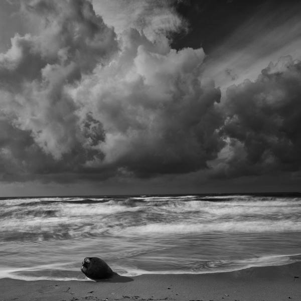 Photograph Della Latta Massimo  L Anfora on One Eyeland
